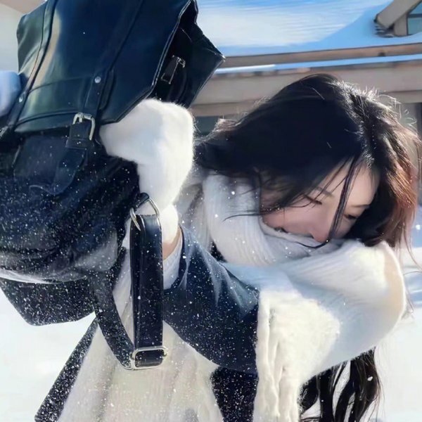 贺兰雪